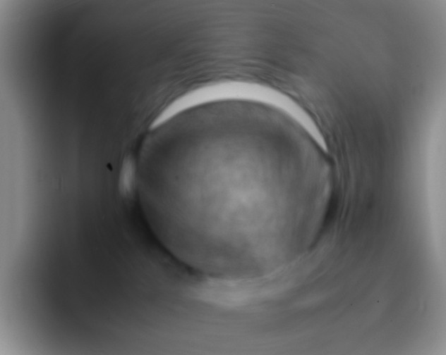 X0000092070041200709262054