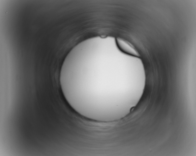 X0000092070044200709262054