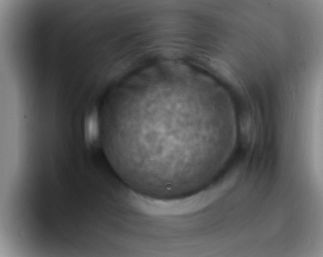 X0000092070046200709262054