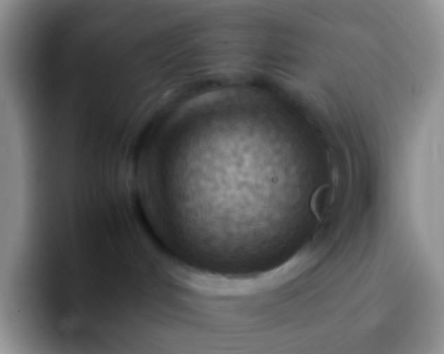 X0000092070048200709262054
