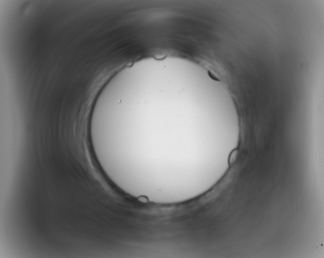 X0000092070049200709262053