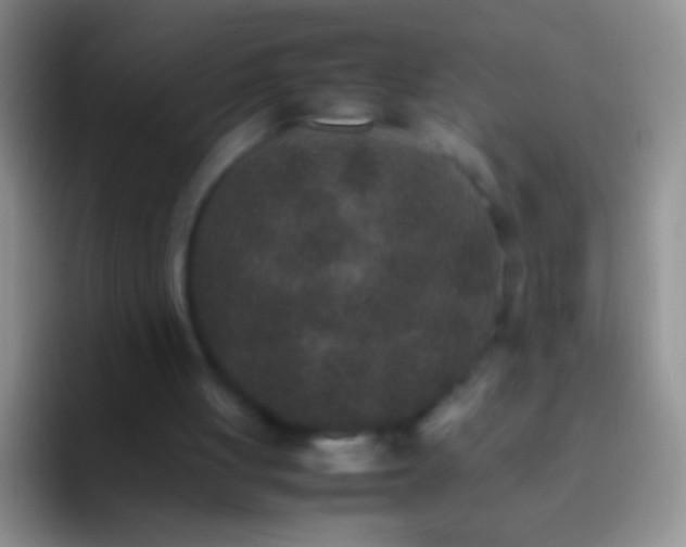 X0000092070051200709262053