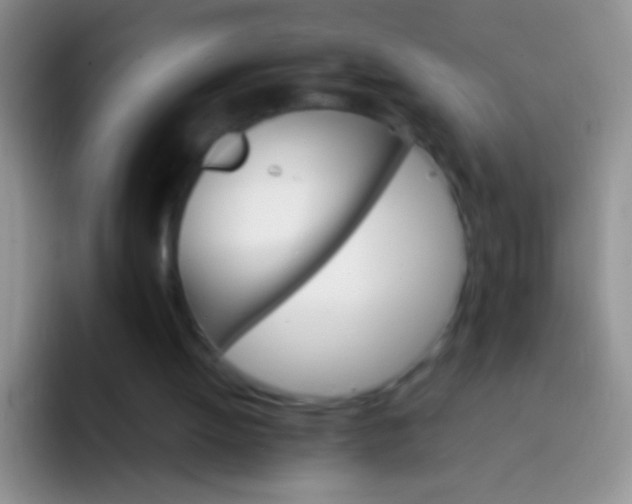X0000092070052200709262053