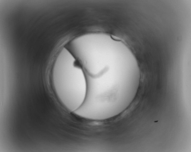 X0000092070053200709262053