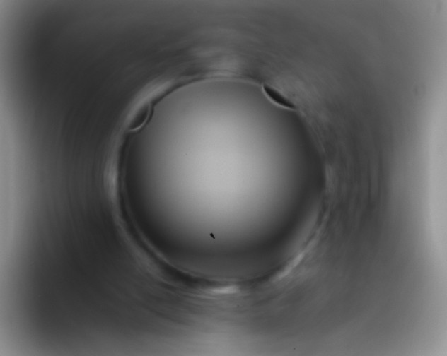 X0000092070054200709262053
