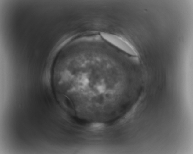 X0000092070055200709262053