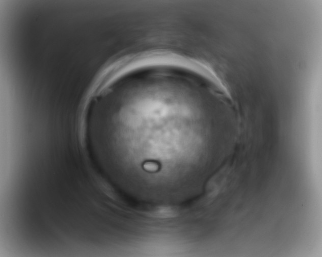 X0000092070056200709262053