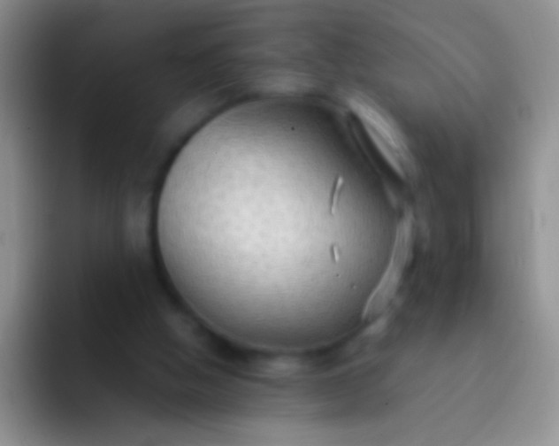 X0000092070058200709262053