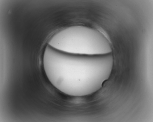 X0000092070059200709262053
