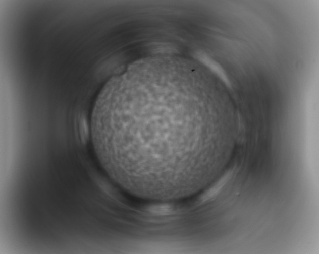 X0000092070061200709262053