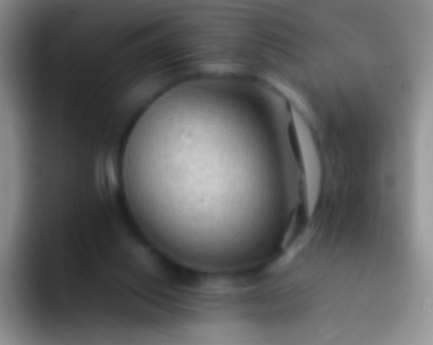 X0000092070062200709262053