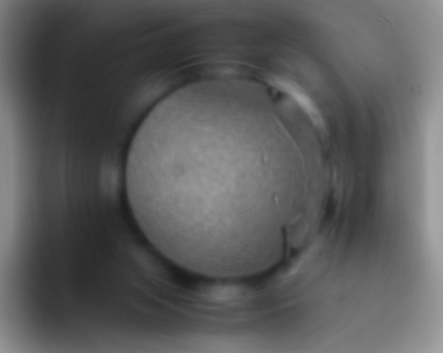 X0000092070063200709262053