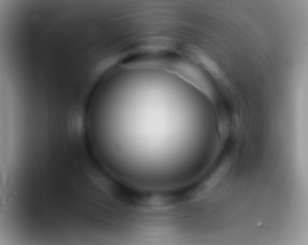 X0000092070064200709262053
