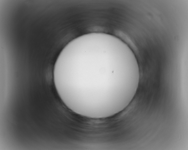 X0000092070065200709262053