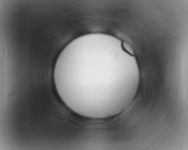X0000092070066200709262053