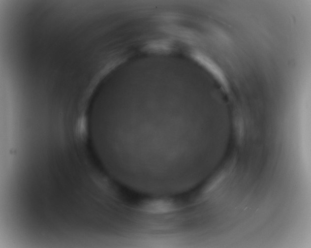 X0000092070067200709262053