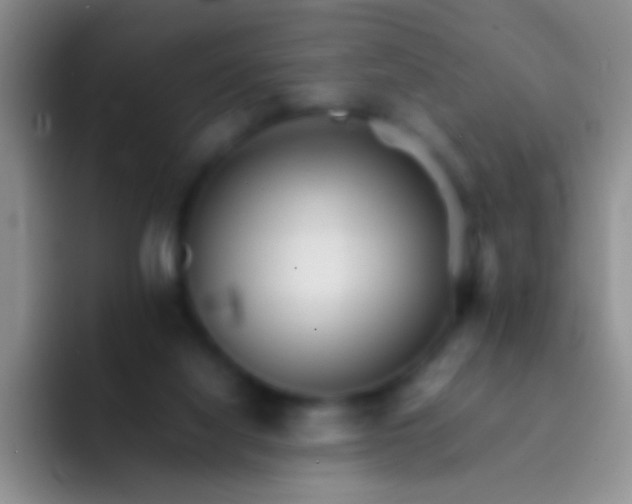 X0000092070068200709262053