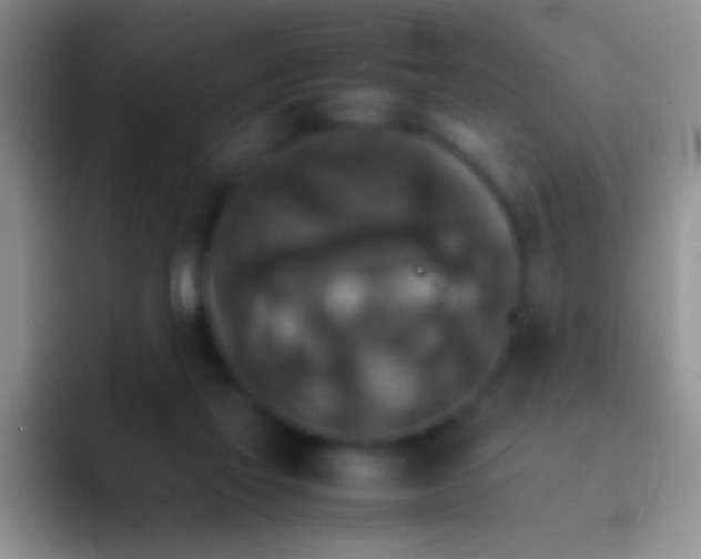 X0000092070069200709262053