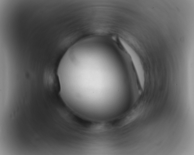 X0000092070072200709262053