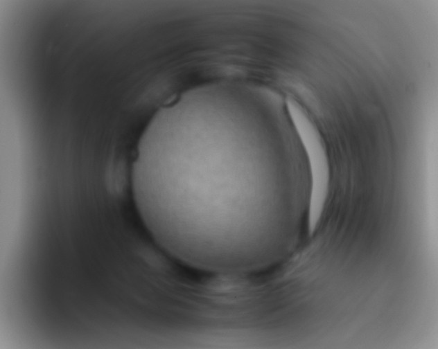 X0000092070077200709262054