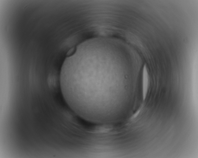 X0000092070078200709262054