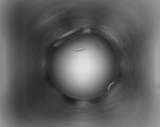 X0000092070079200709262054