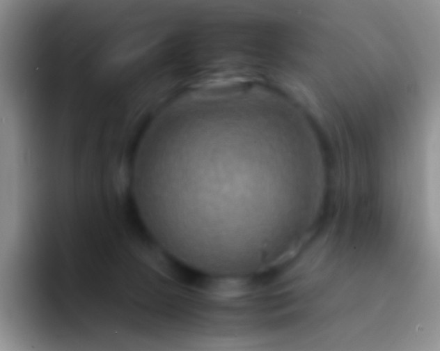 X0000092070081200709262054