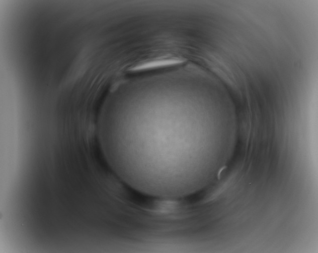 X0000092070085200709262054