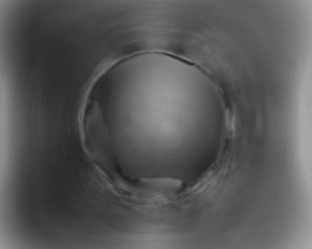 X0000092070099200709262053