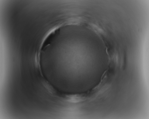 X0000092070100200709262053