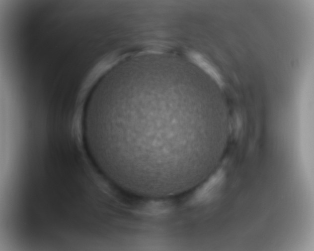 X0000092070101200709262053