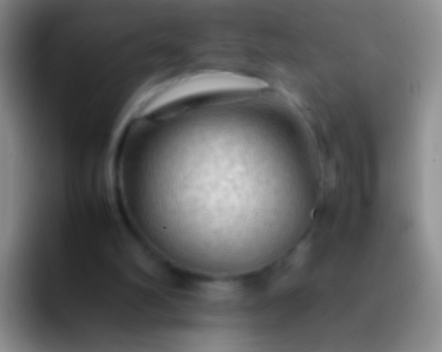 X0000092070102200709262053