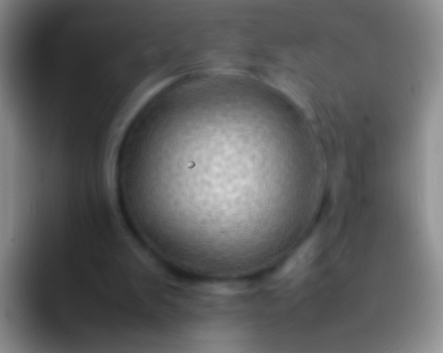 X0000092070103200709262053