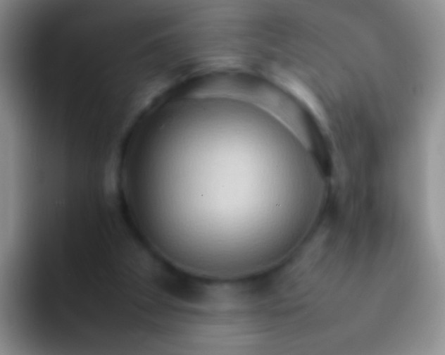 X0000092070105200709262053