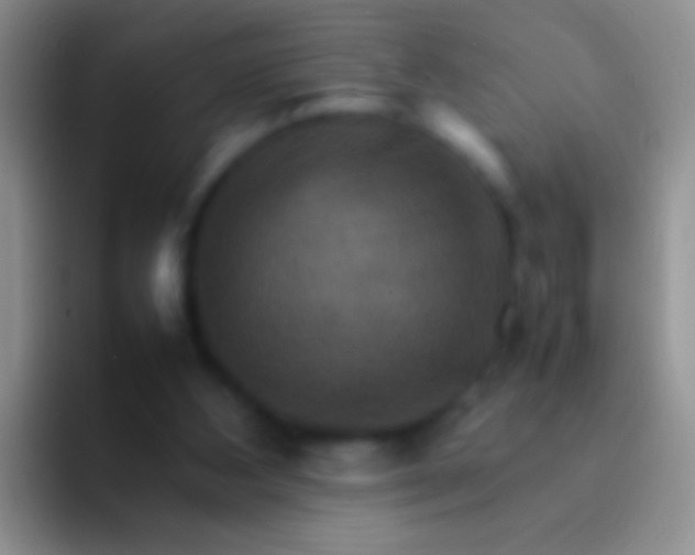X0000092070108200709262053