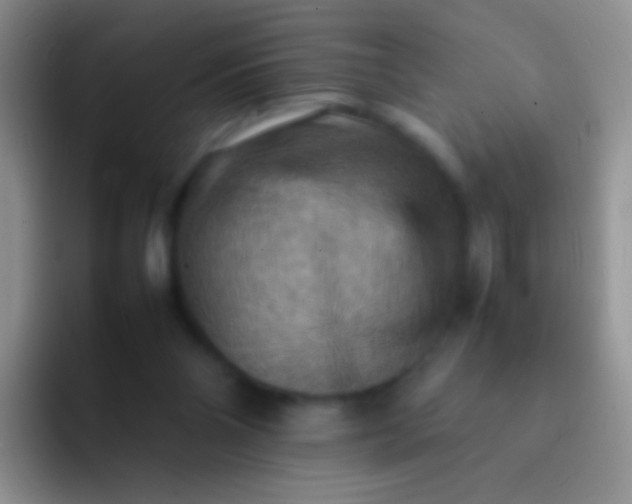 X0000092070110200709262053