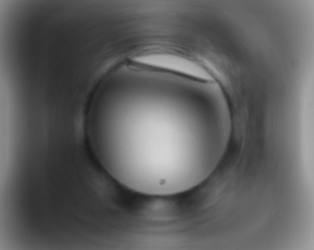 X0000092070111200709262053