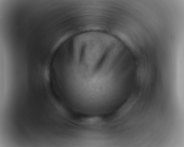 X0000092070112200709262053