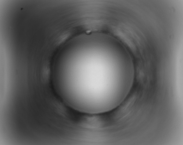 X0000092070113200709262053