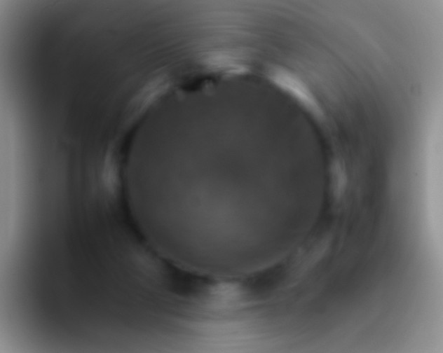 X0000092070114200709262053
