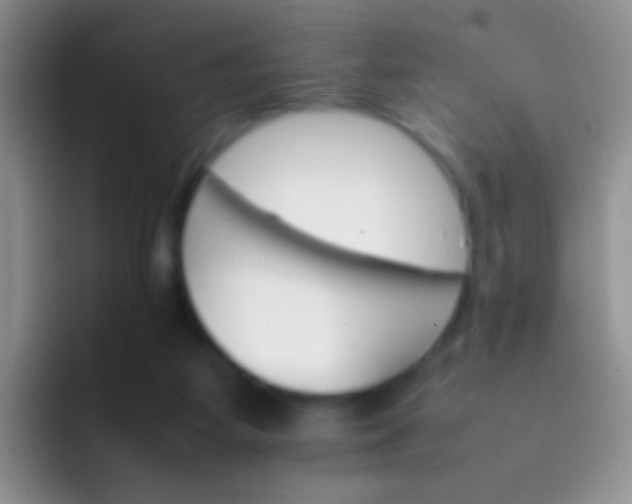 X0000092070115200709262053