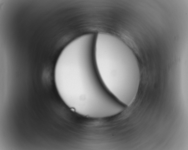 X0000092070116200709262053
