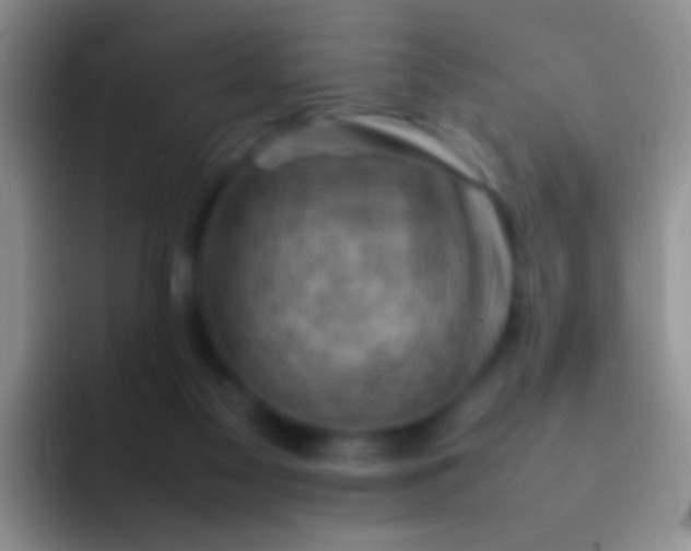 X0000092070117200709262053