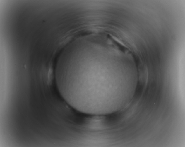 X0000092070128200709262053