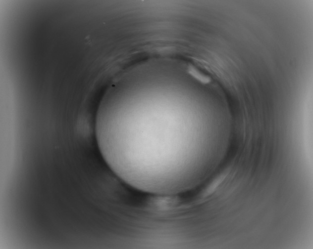 X0000092070135200709262053