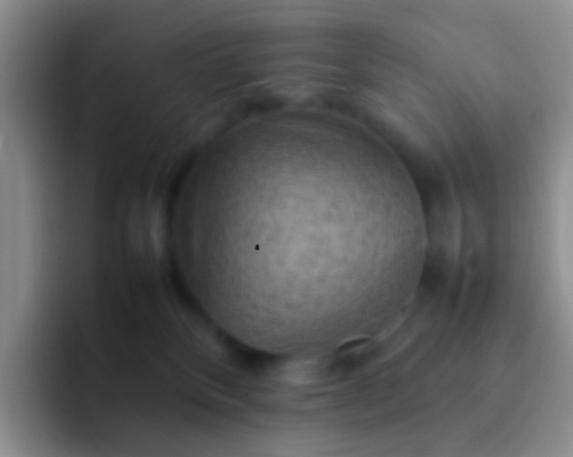 X0000092070136200709262053