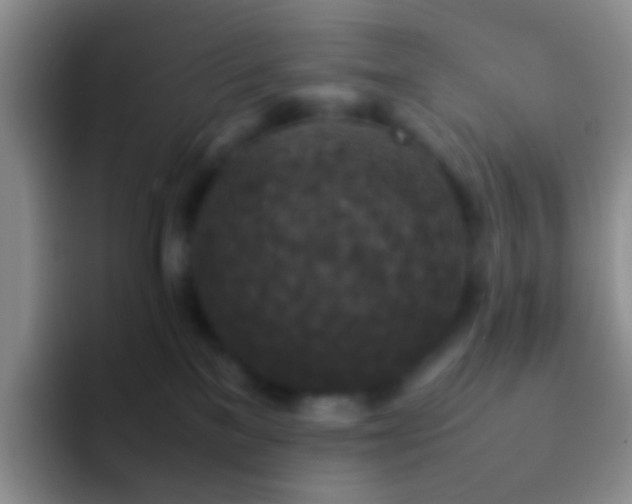X0000092070137200709262053