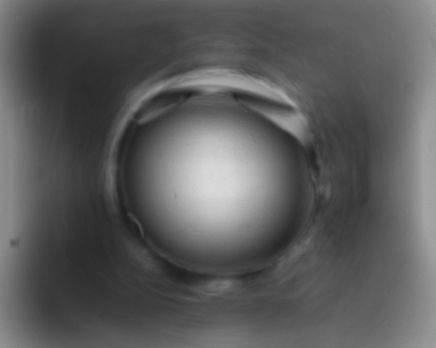 X0000092070152200709262052