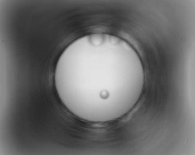 X0000092070153200709262052