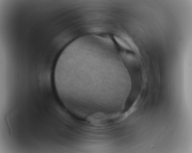 X0000092070154200709262052